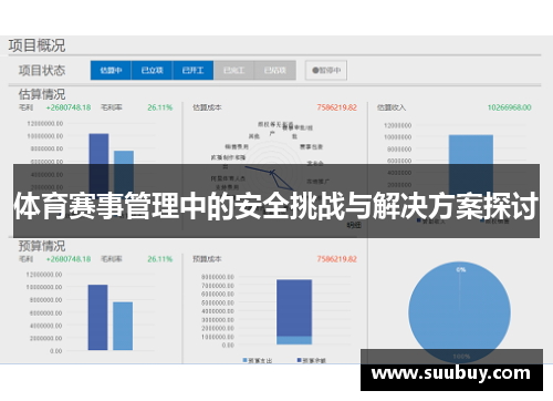 体育赛事管理中的安全挑战与解决方案探讨